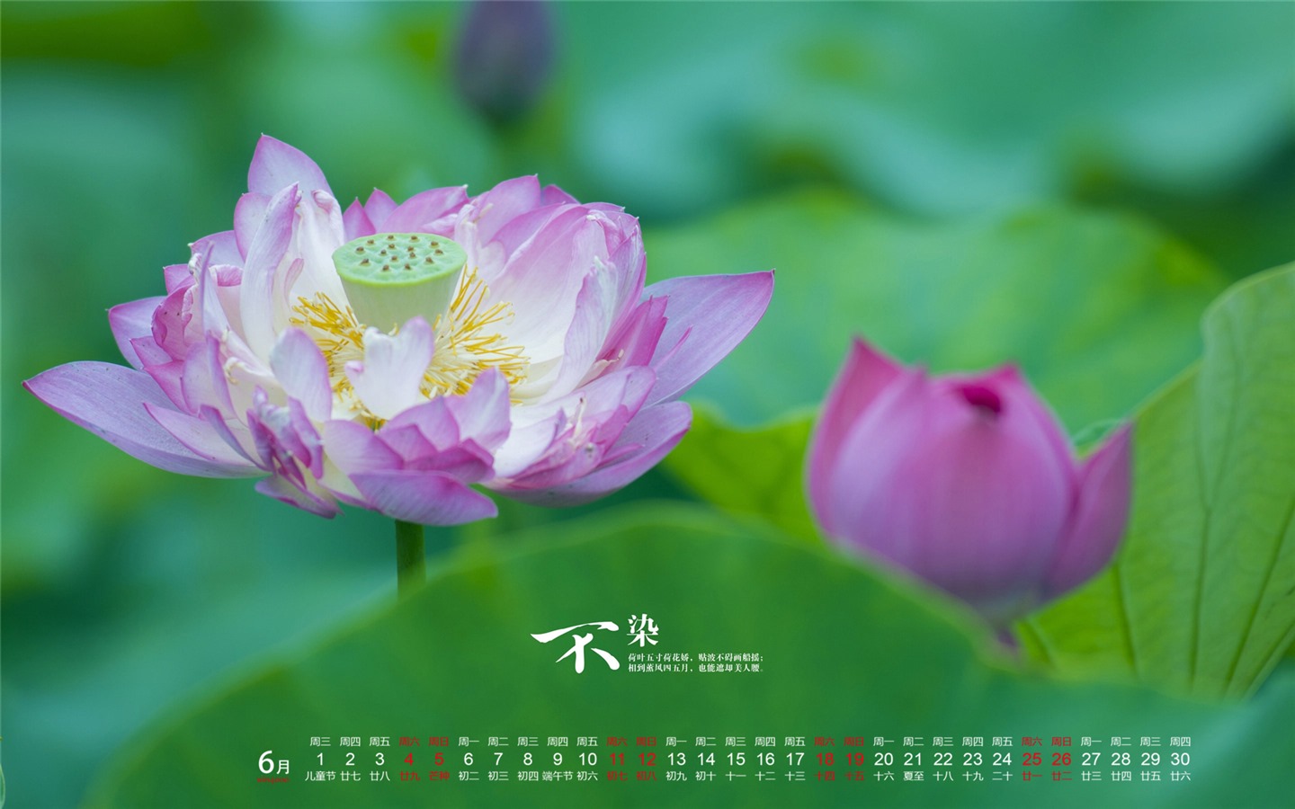 De junio de el año 2016 fondo de pantalla de calendario (1) #10 - 1440x900