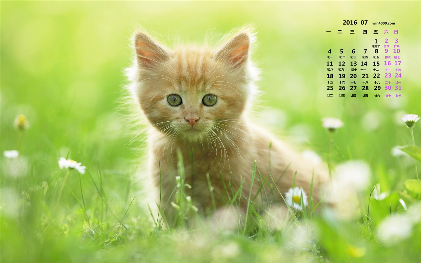 2016年7月 月曆壁紙(一) #11 - 1440x900
