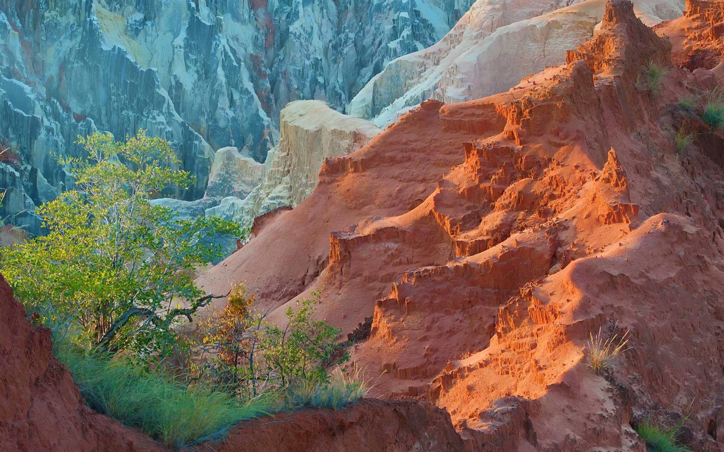 De junio de 2016 fondos de pantalla HD tema de Bing (1) #21 - 1440x900