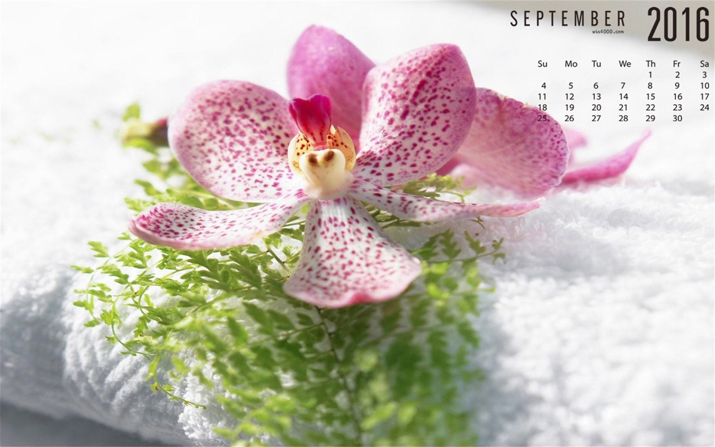 2016年9月 月曆壁紙(一) #11 - 1440x900