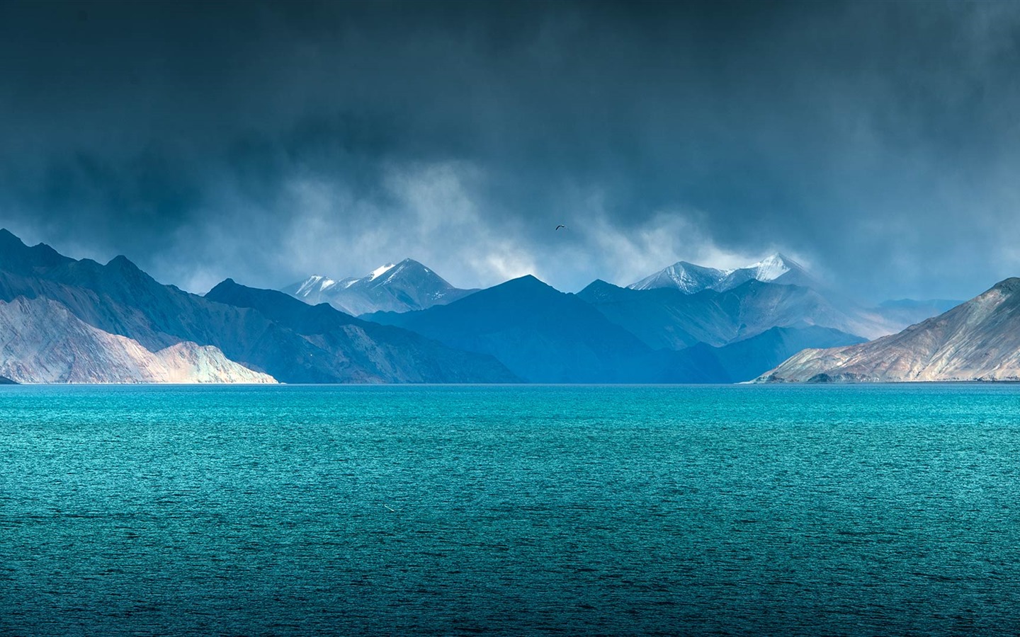 July 2016 Bing theme HD wallpapers (2) #14 - 1440x900