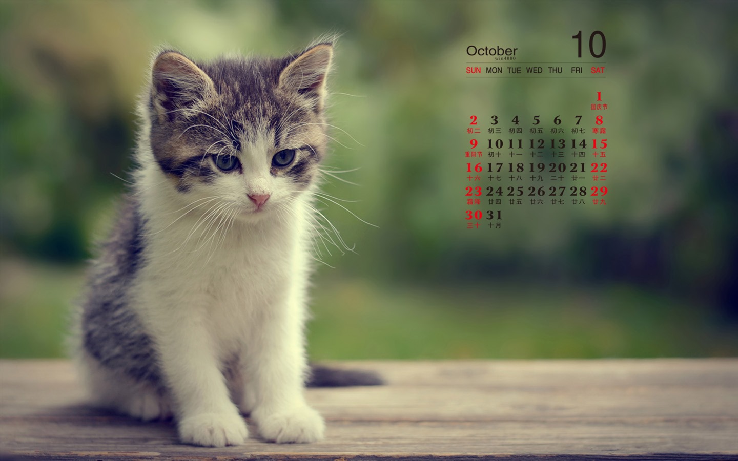 De octubre de el año 2016 fondo de pantalla de calendario (1) #8 - 1440x900