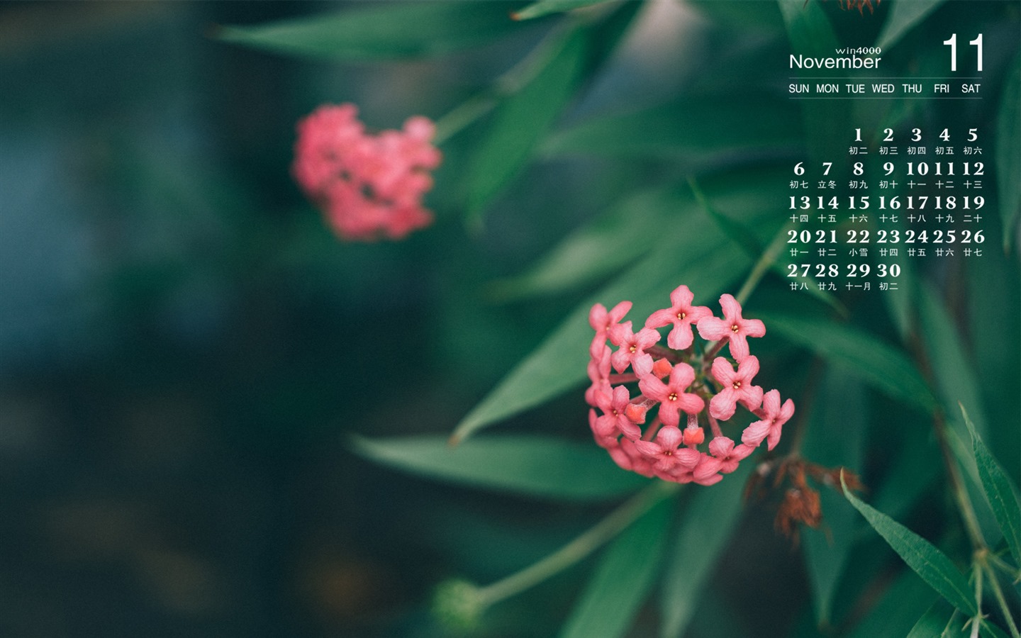 2016年11月 月曆壁紙(一) #2 - 1440x900