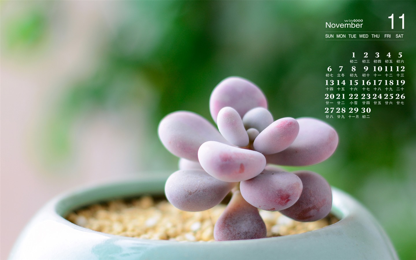 2016年11月 月曆壁紙(一) #3 - 1440x900