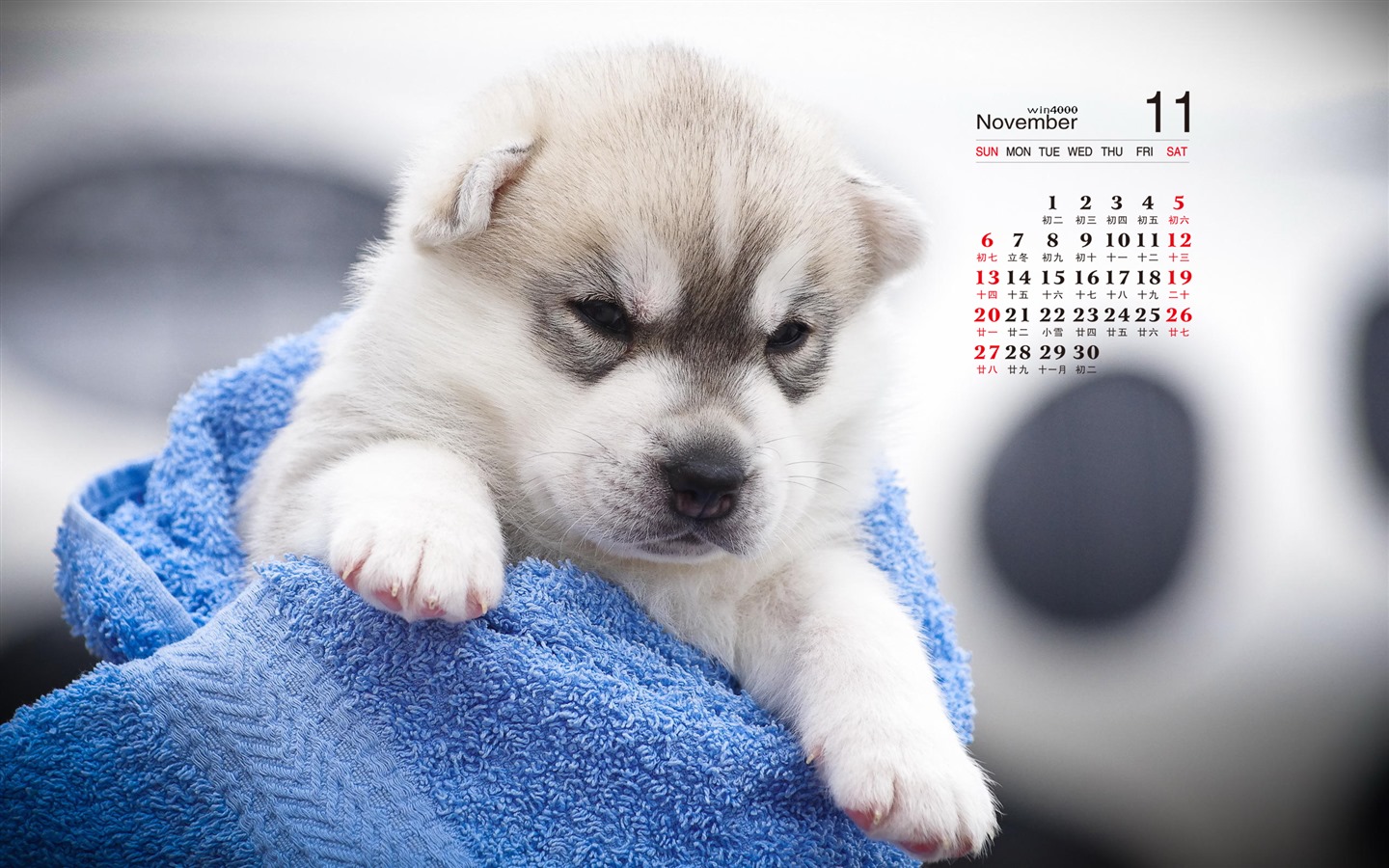 2016年11月 月曆壁紙(一) #13 - 1440x900