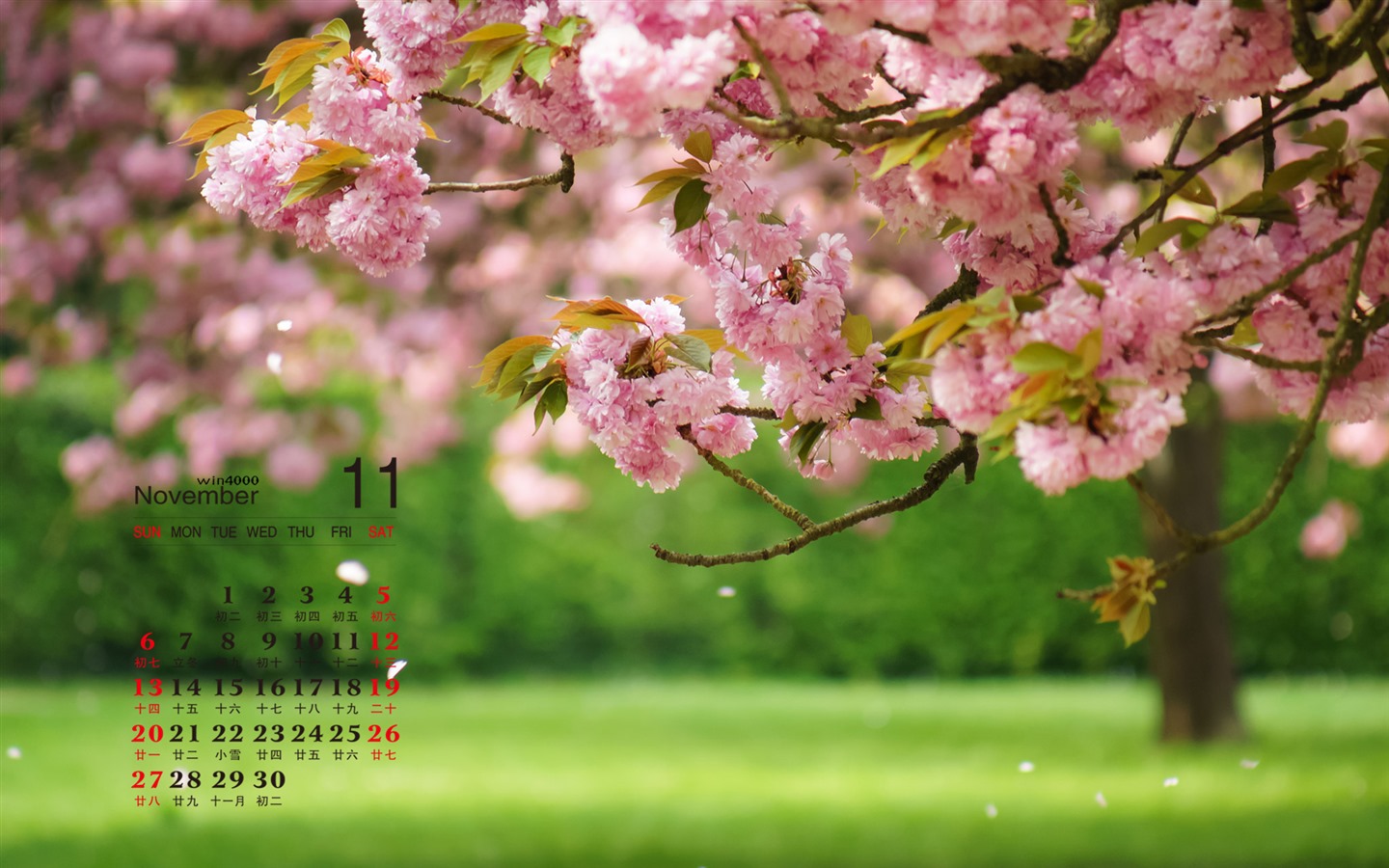 2016年11月 月曆壁紙(一) #15 - 1440x900