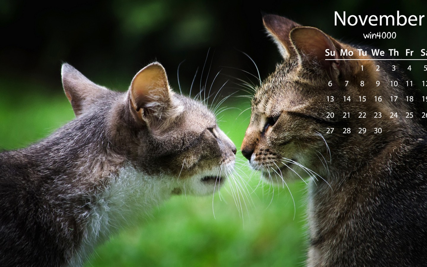 2016年11月 月曆壁紙(一) #20 - 1440x900
