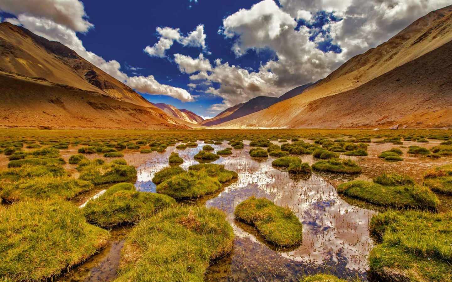 Septembre 2016 Bing thème Fonds d'écran HD (2) #5 - 1440x900