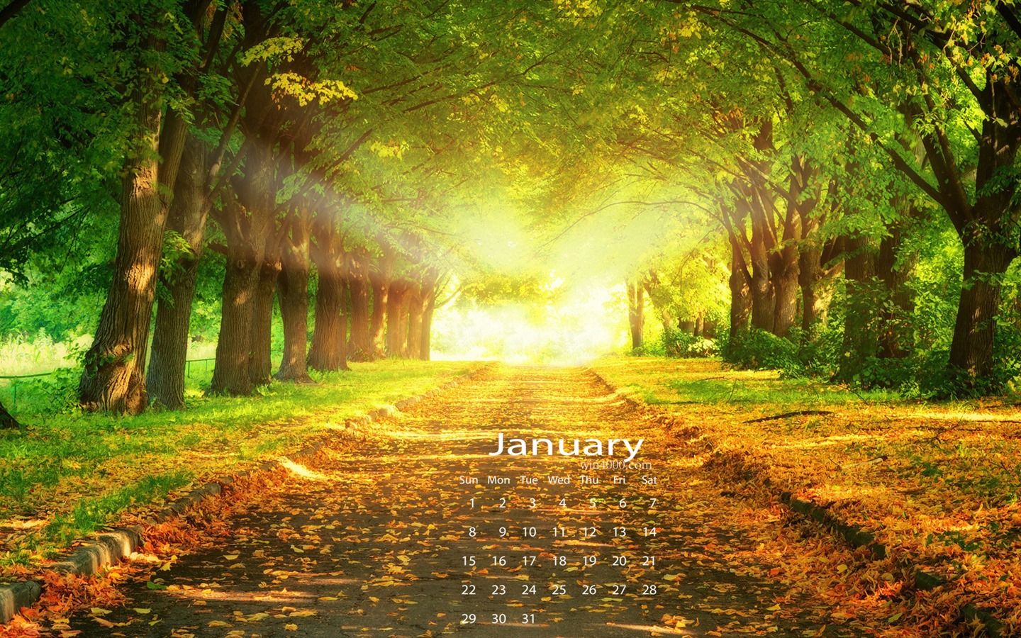 January 2017 calendar wallpaper (1) #2 - 1440x900