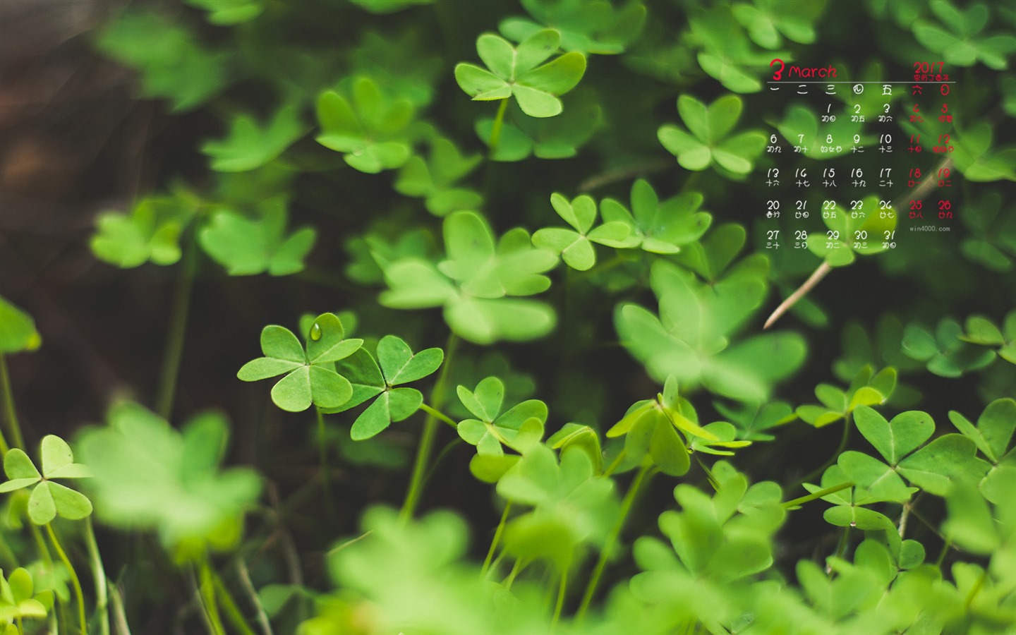 March 2017 calendar wallpaper (1) #6 - 1440x900