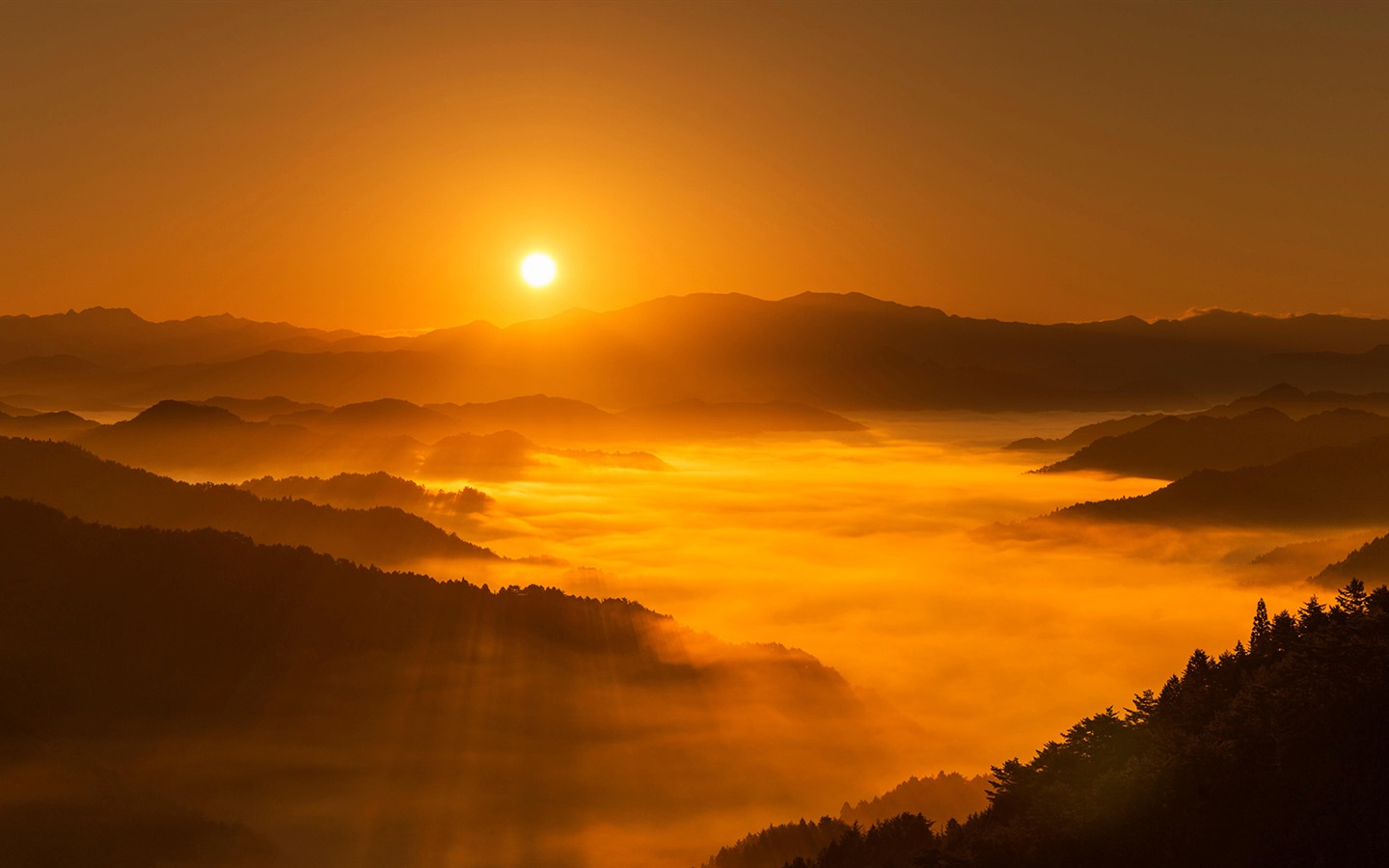 Décembre 2016 Fonds d'écran HD de thème Bing (2) #26 - 1440x900