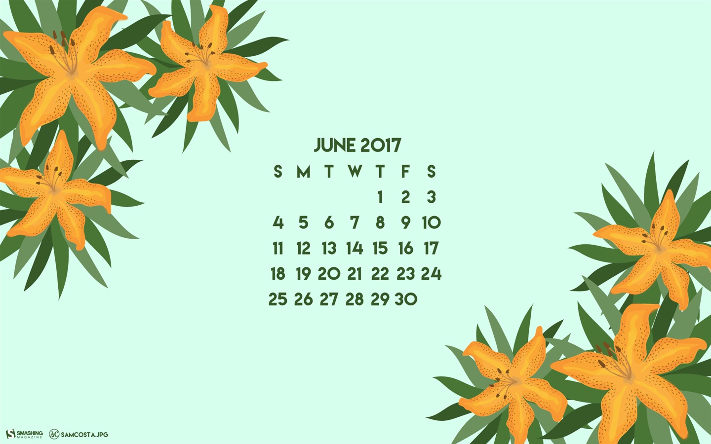 June 2017 calendar wallpaper #3 - 1440x900