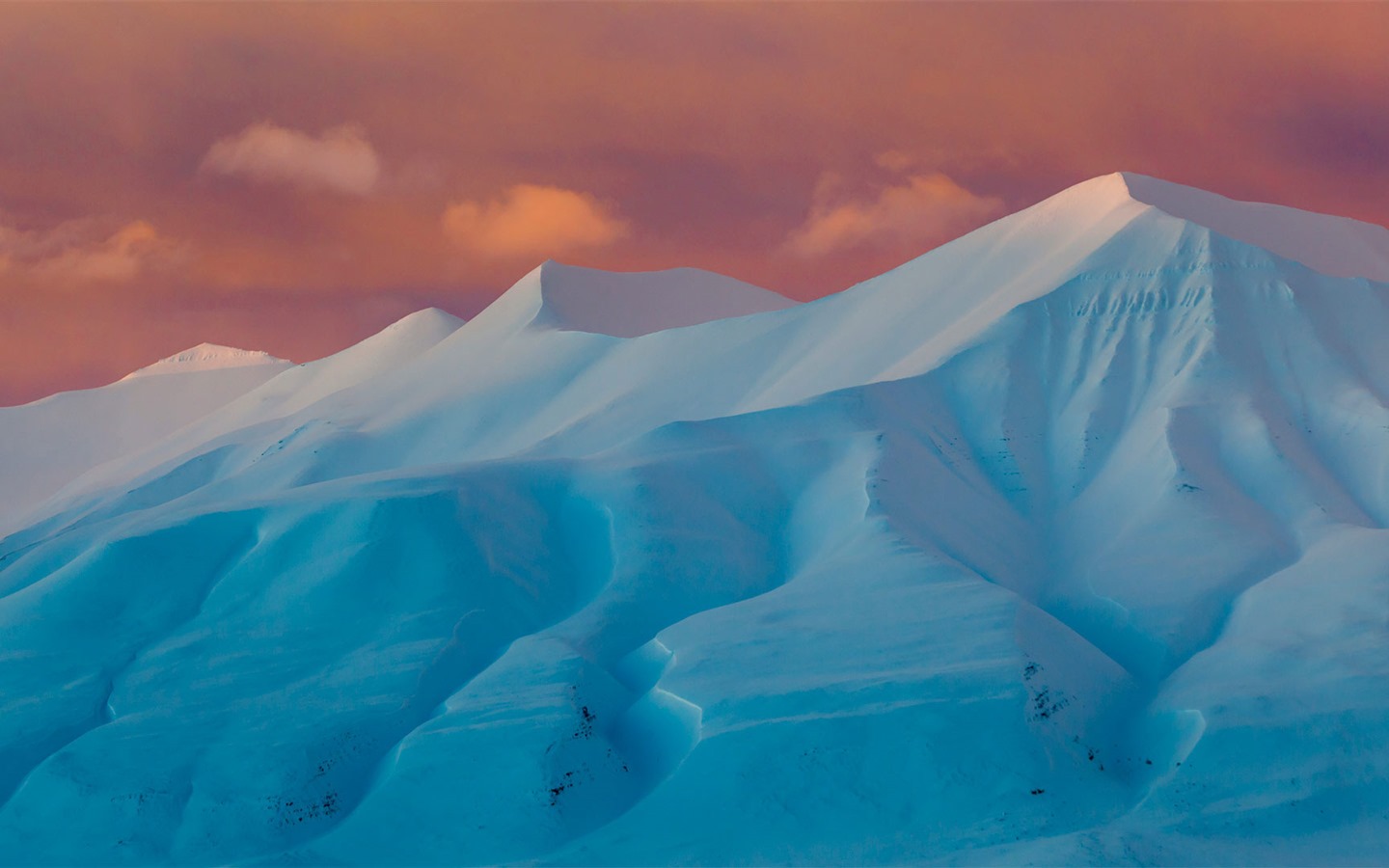 Febrero 2017 Bing tema de alta definición fondos de pantalla (1) #27 - 1440x900