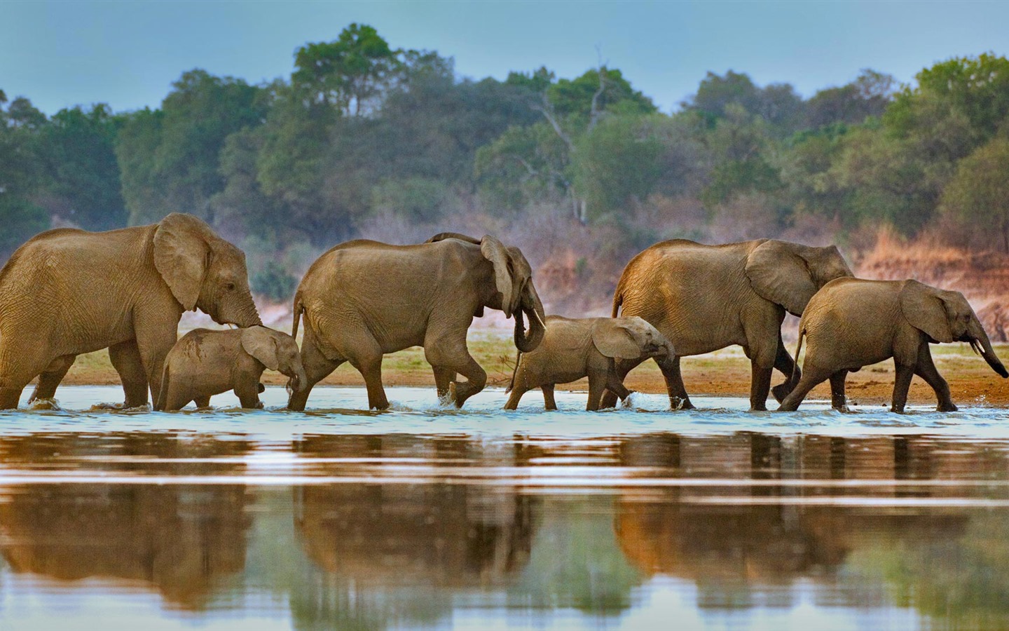 Febrero 2017 Bing tema de alta definición fondos de pantalla (1) #32 - 1440x900