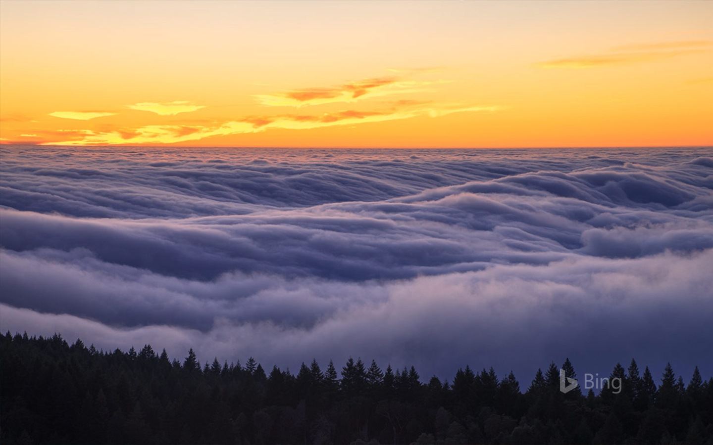 Květen 2017 Bing téma tapety s vysokým rozlišením #31 - 1440x900