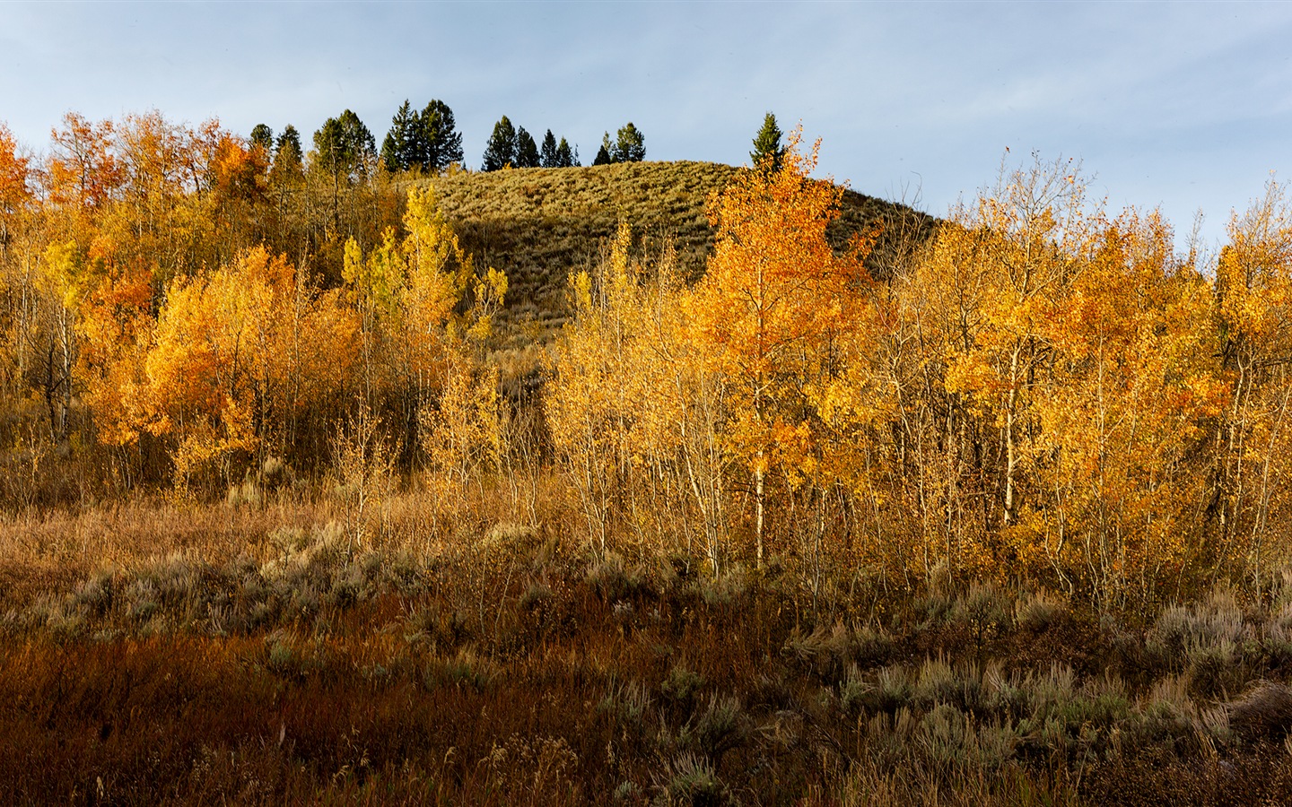 USA Grand Teton národní park přírodní krajiny HD tapety #14 - 1440x900