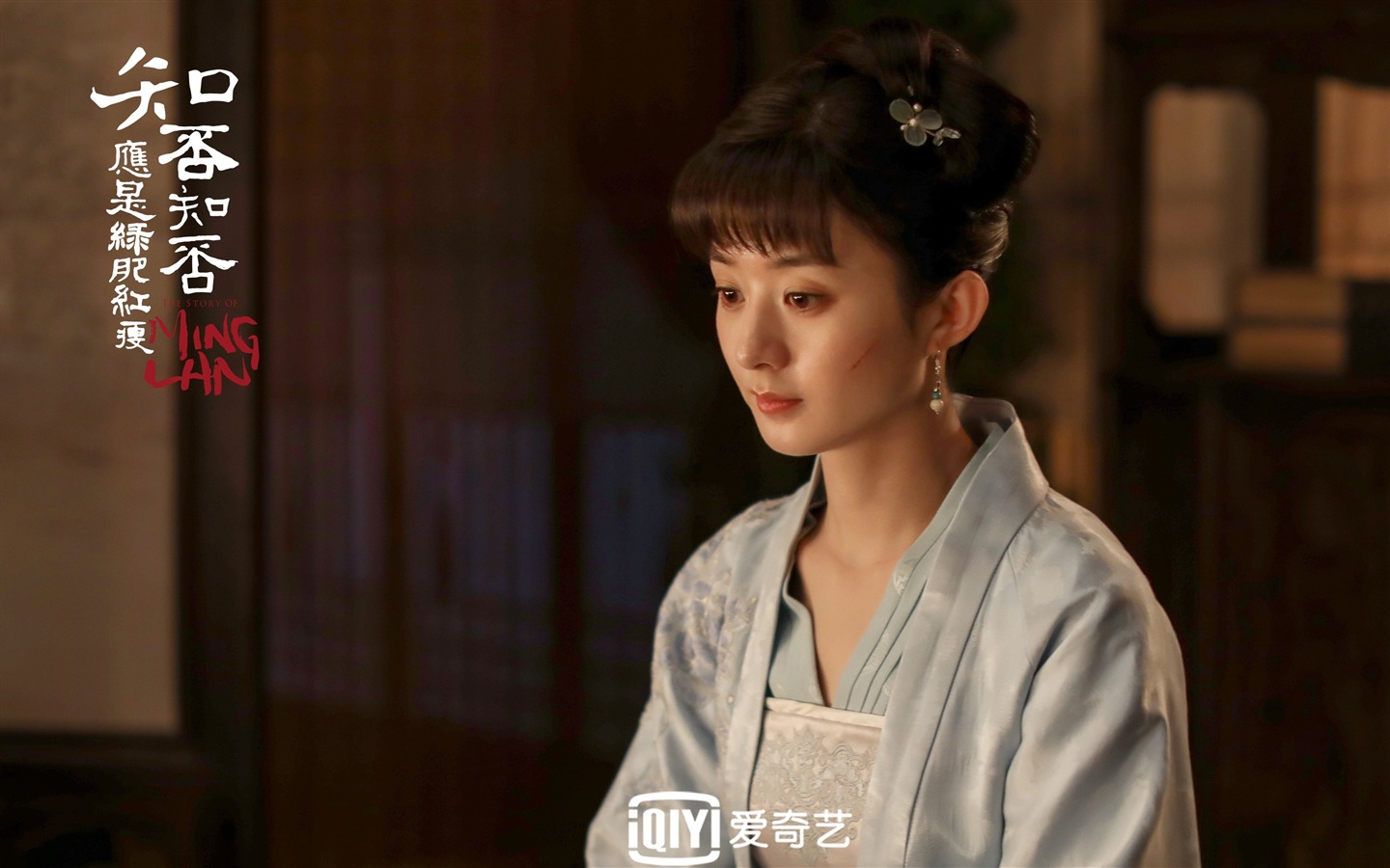 知否知否應是綠肥紅瘦 電視劇高清壁紙 #36 - 1440x900
