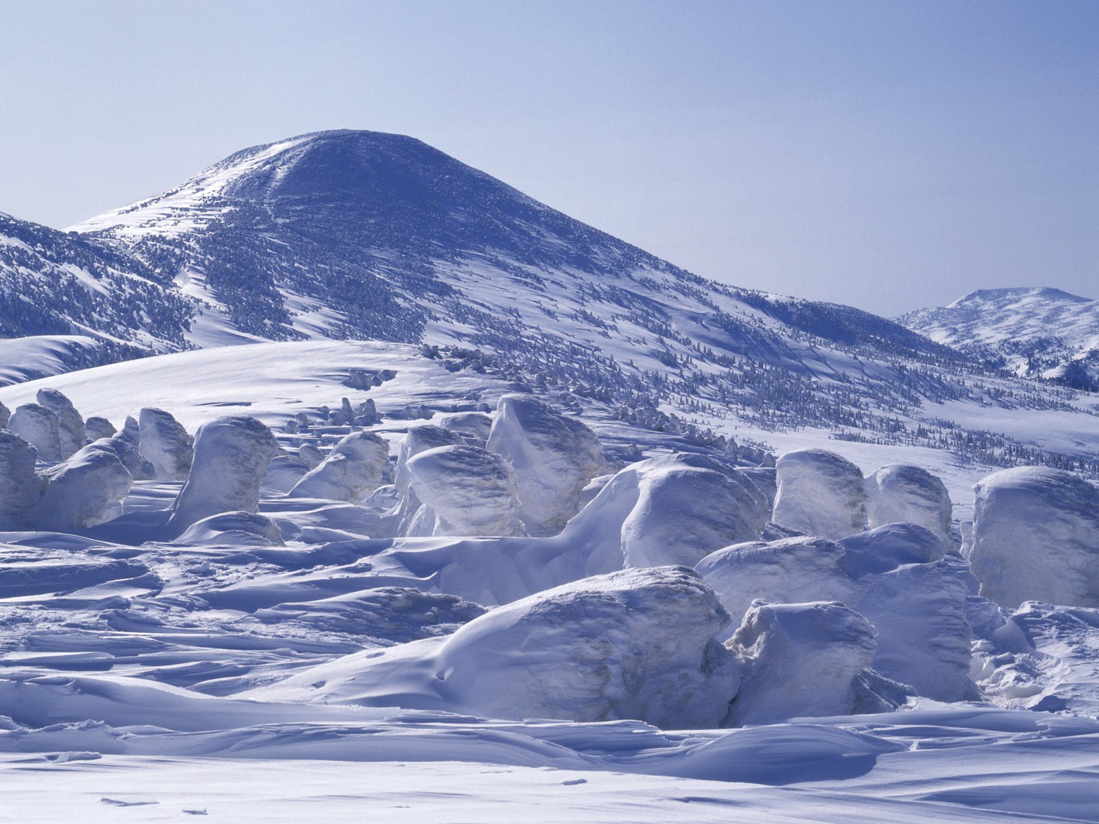 Snow forest wallpaper (2) #15 - 1600x1200