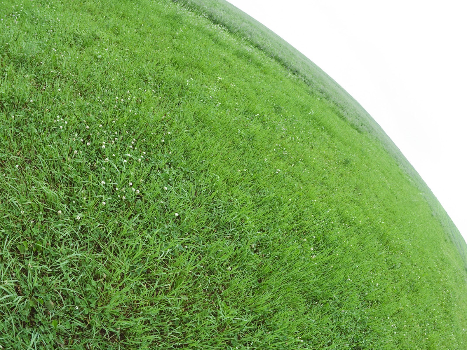 zelená tráva tapety (1) #12 - 1600x1200