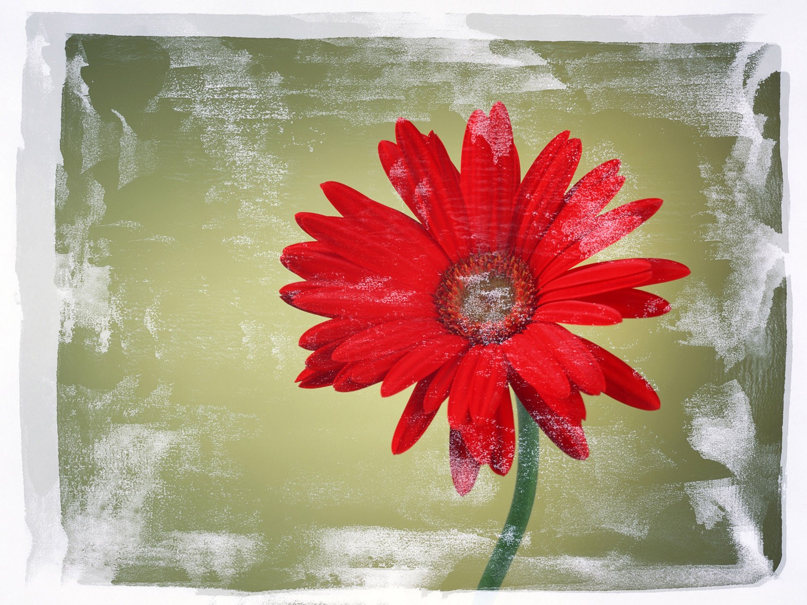 Flower Hintergrundbilder Selection (2) #13 - 1600x1200