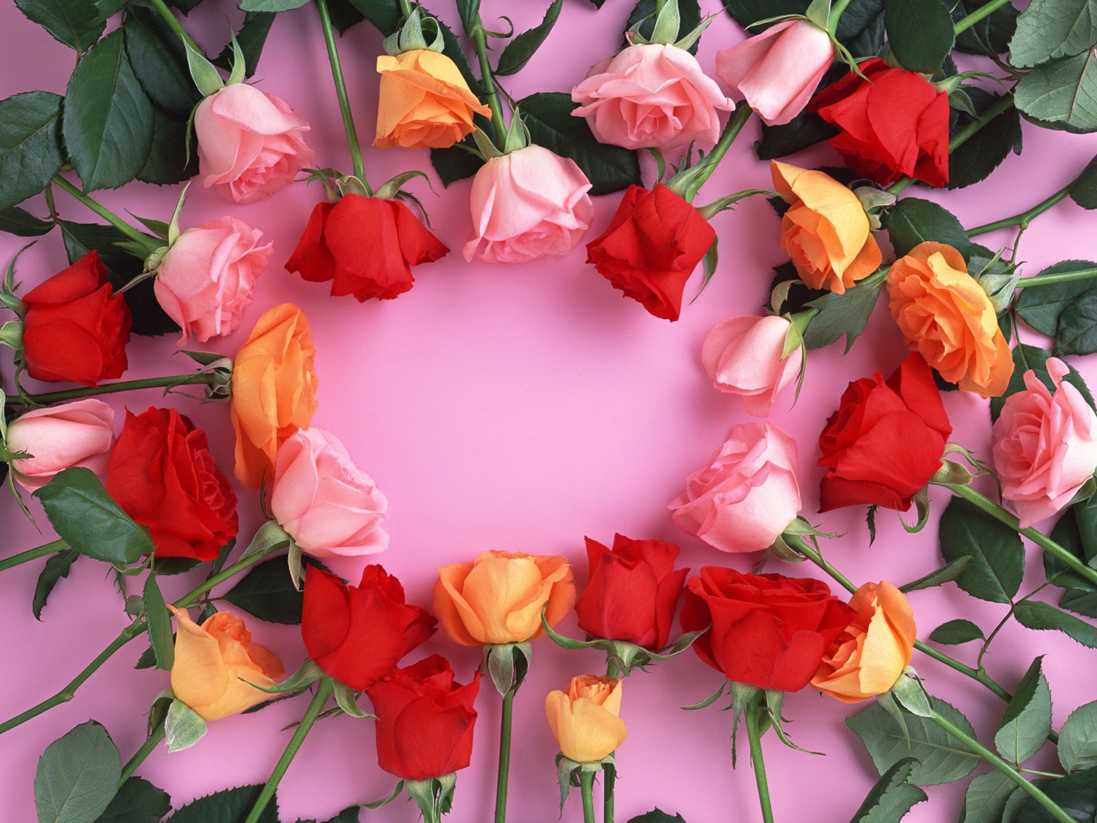 桌面鮮花壁紙精選(二) #40 - 1600x1200