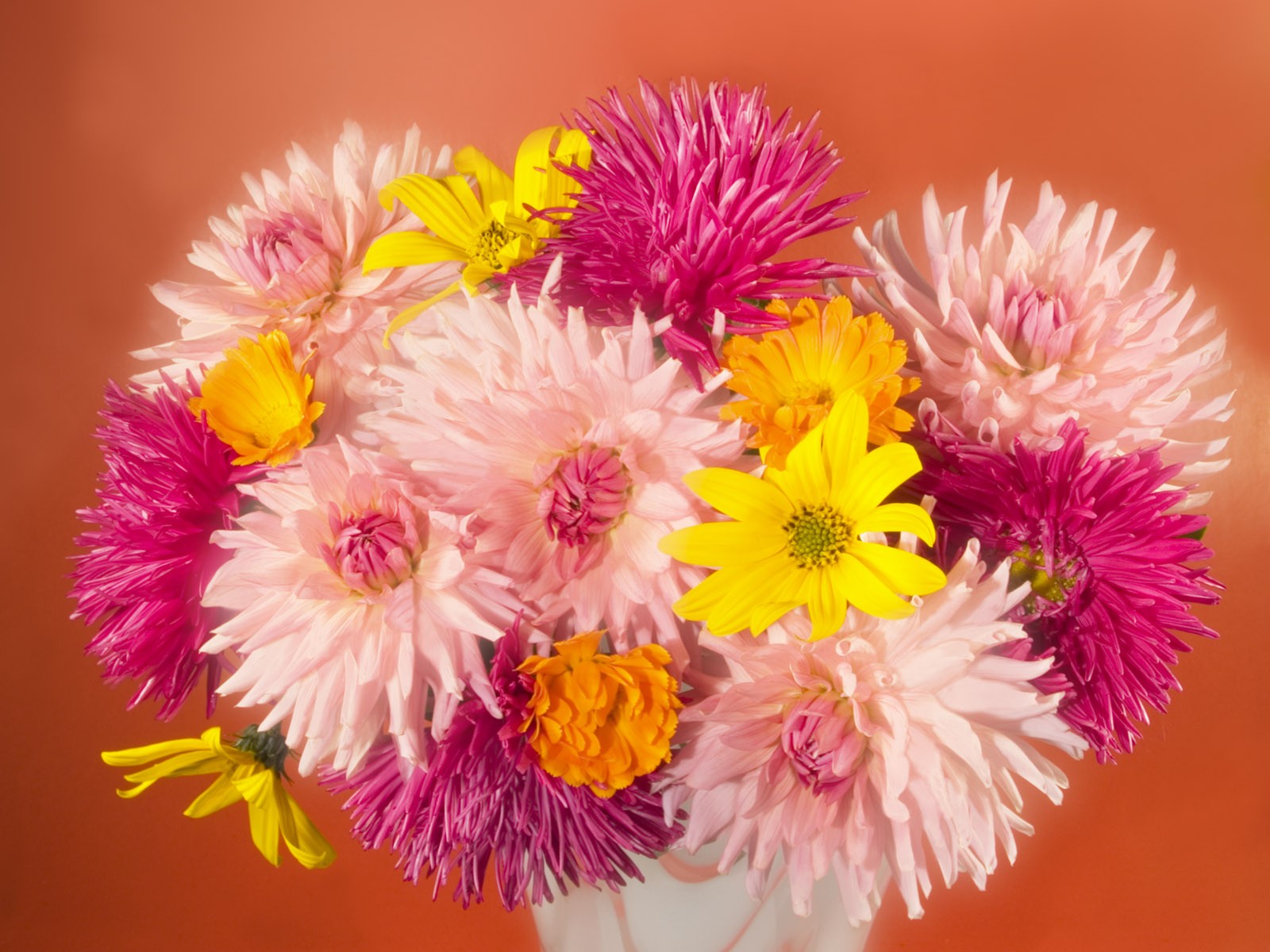 Květiny close-up (2) #6 - 1600x1200