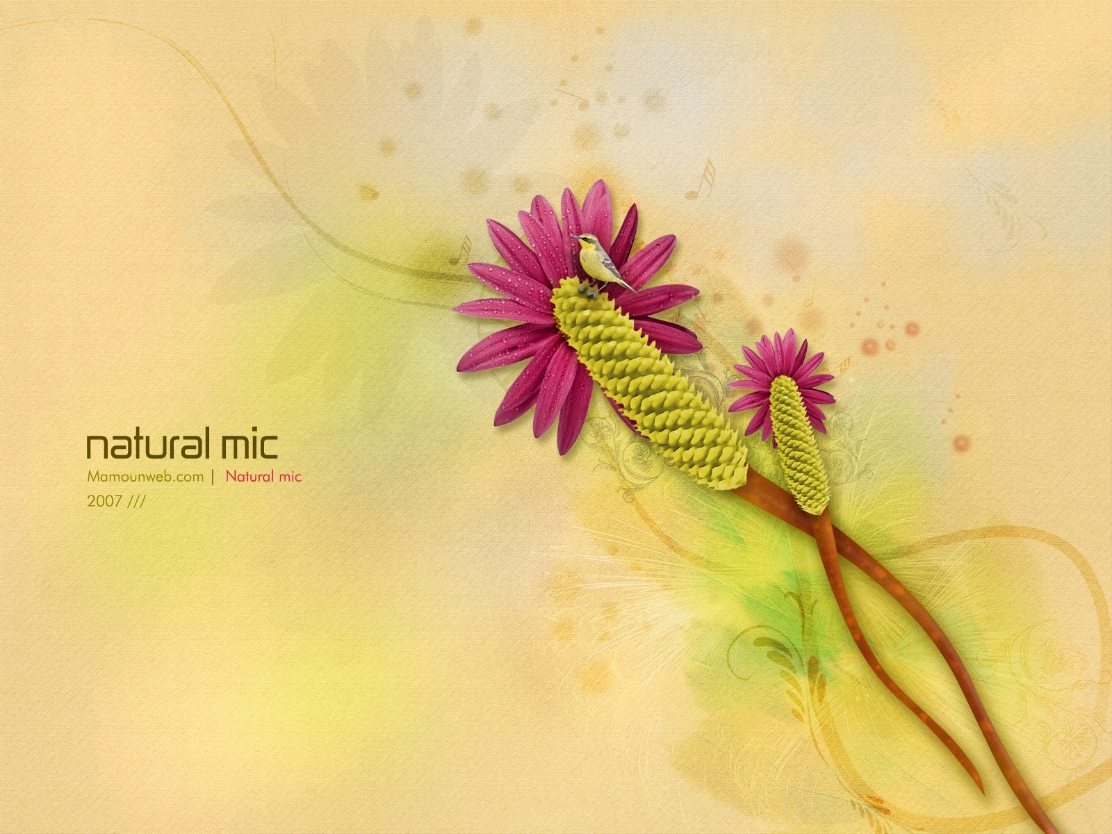 Exquisite design Vladstudio Wallpaper #4 - 1600x1200