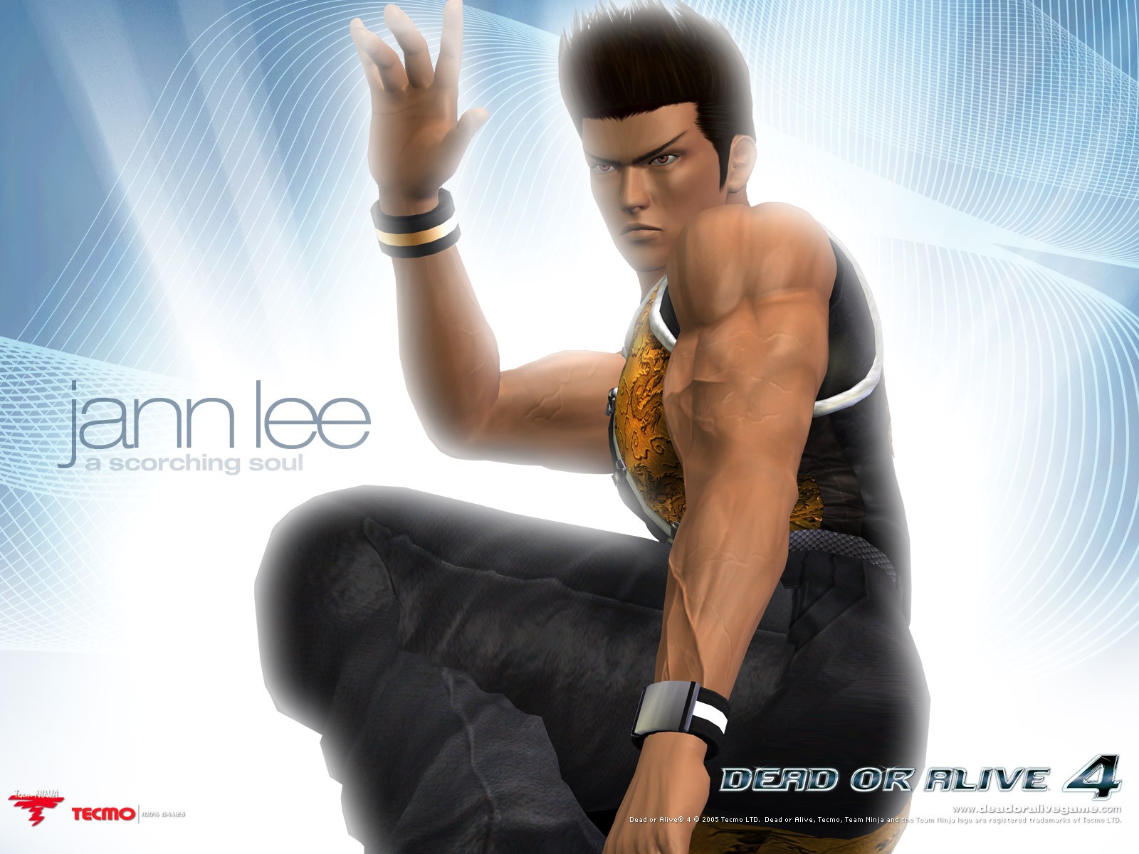 Dead or Alive 4 wallpaper alba #7 - 1600x1200
