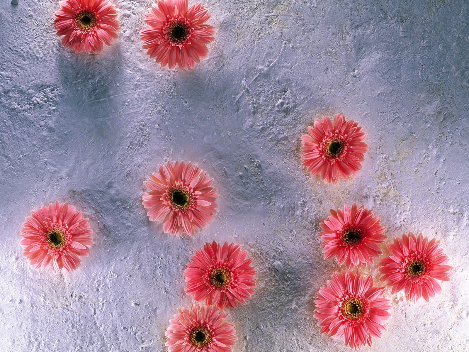 실내 꽃 벽지 (1) #25 - 1600x1200