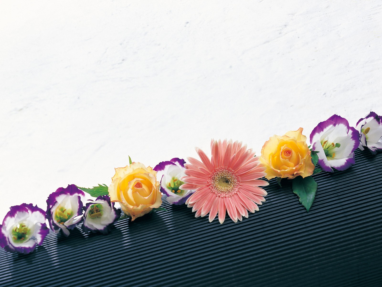 실내 꽃 벽지 (1) #27 - 1600x1200