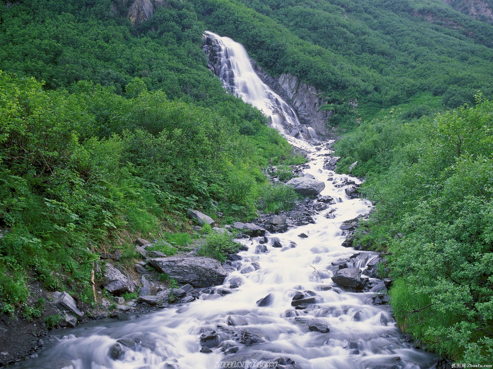 瀑布森林高清壁紙 #6 - 1600x1200