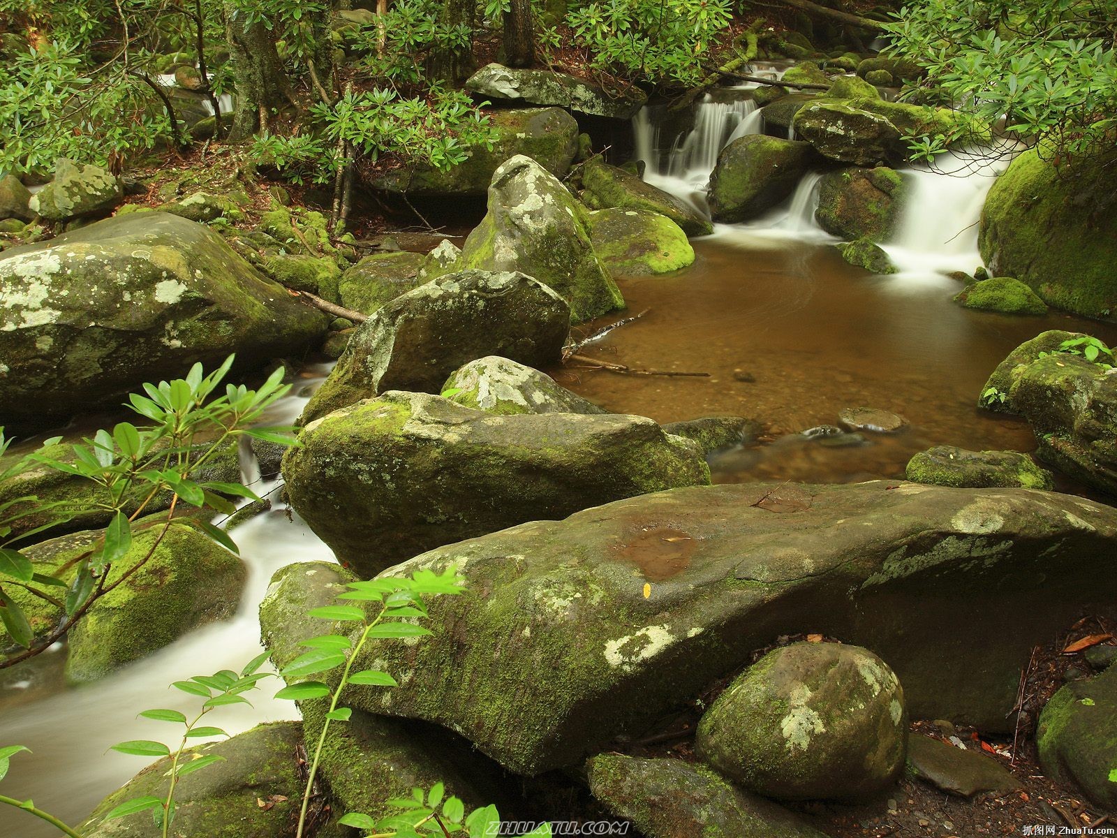 Falls Lesní HD Wallpaper #16 - 1600x1200