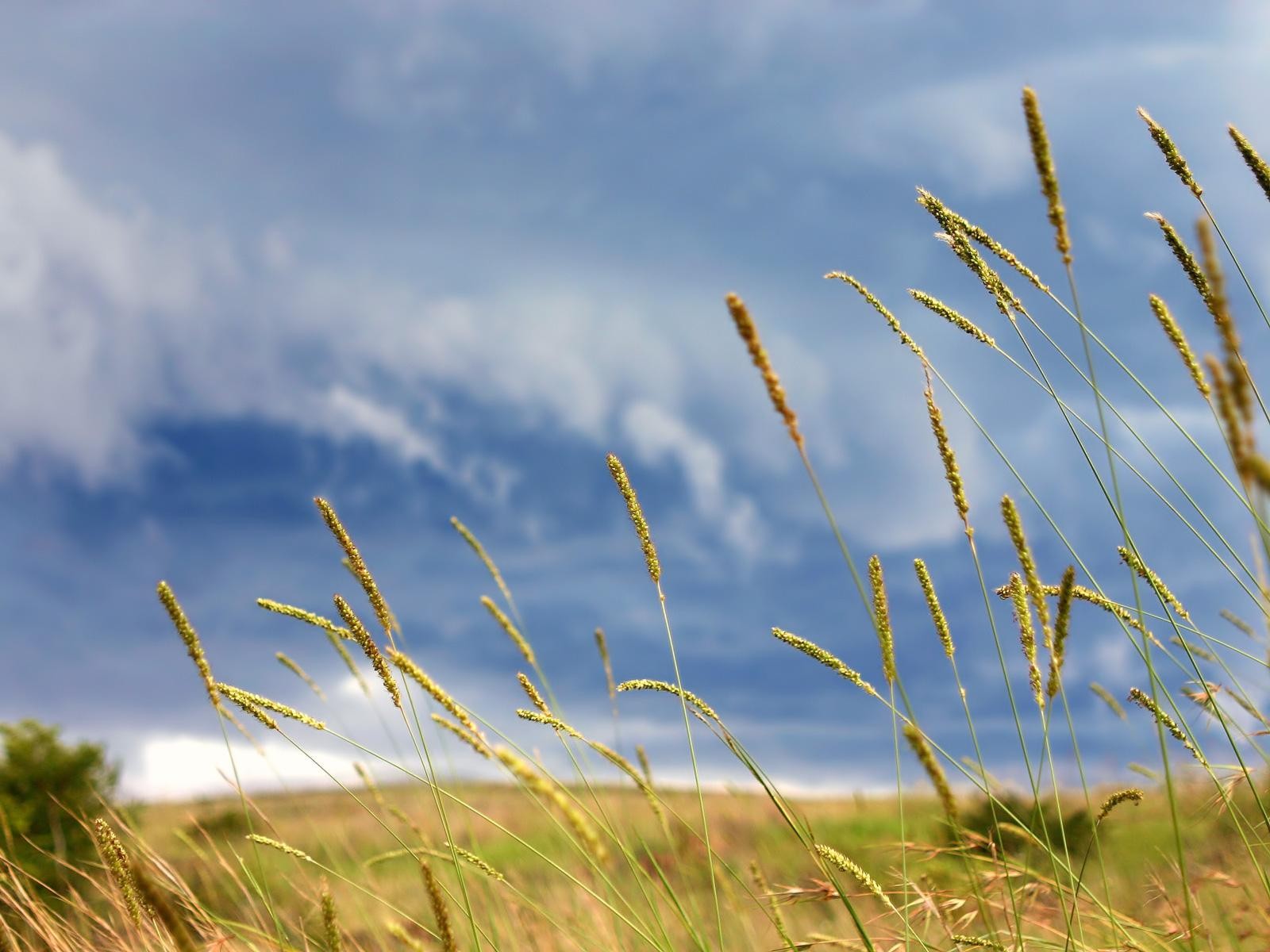 美しい風景の壁紙 #37 - 1600x1200