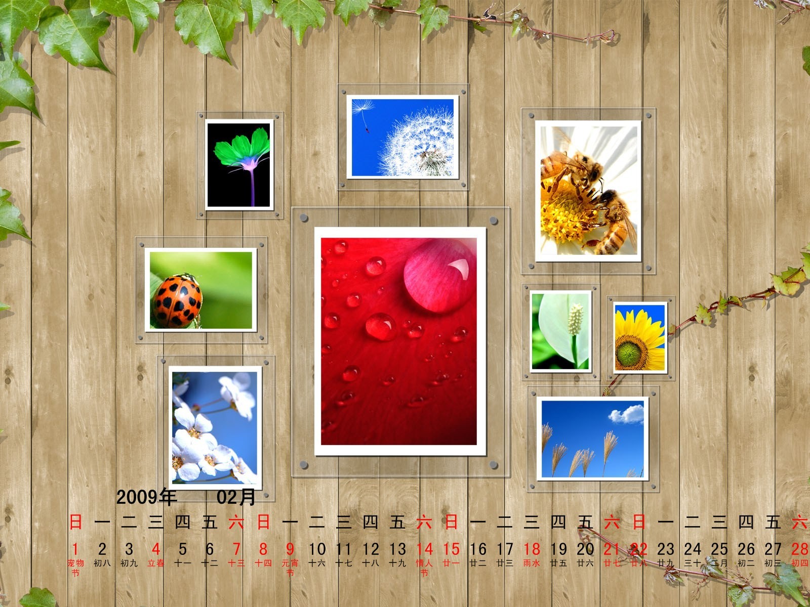 PaperArt09年2月月曆壁紙 #24 - 1600x1200