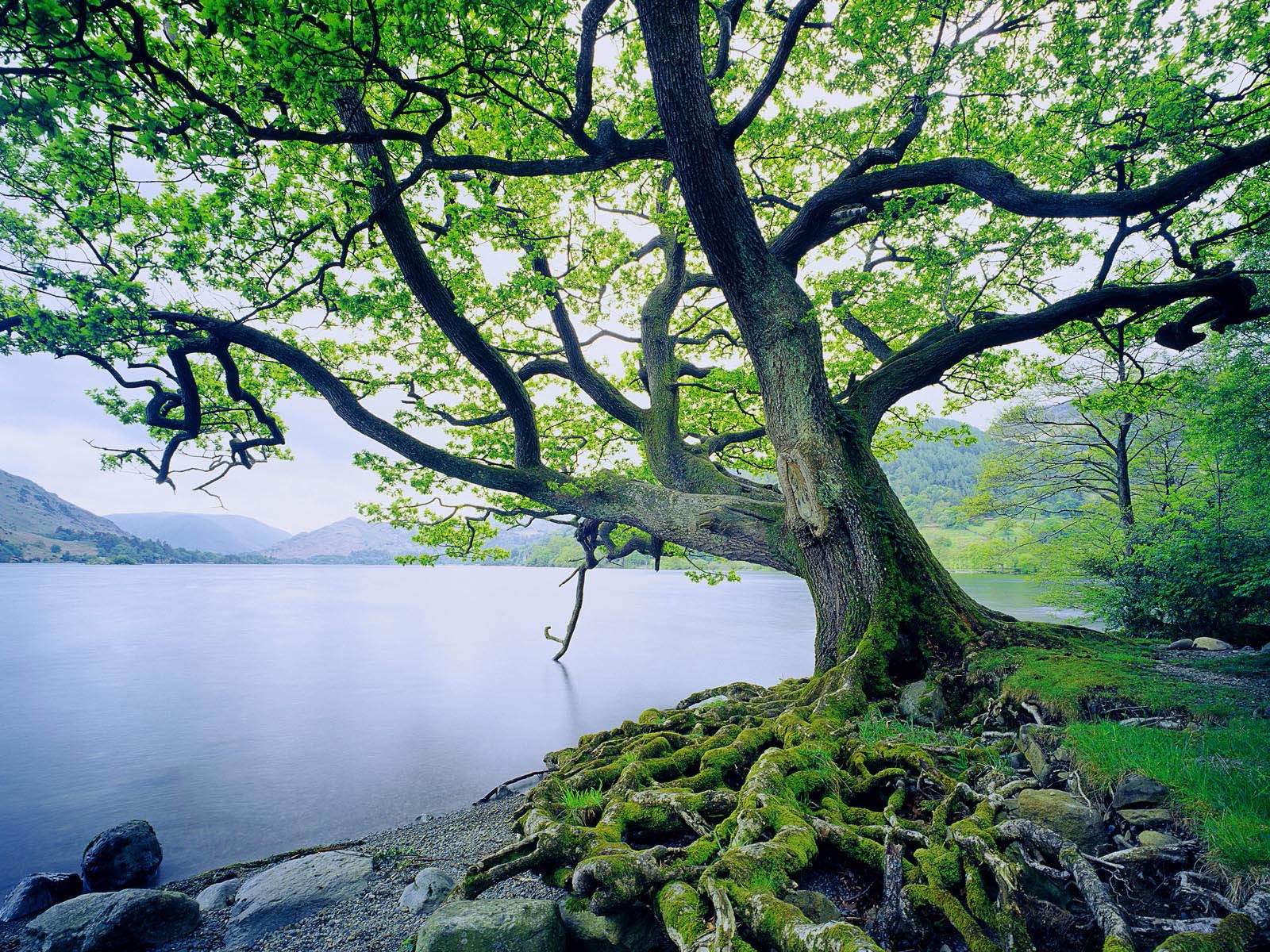 Windows7 官方壁紙 #1 - 1600x1200