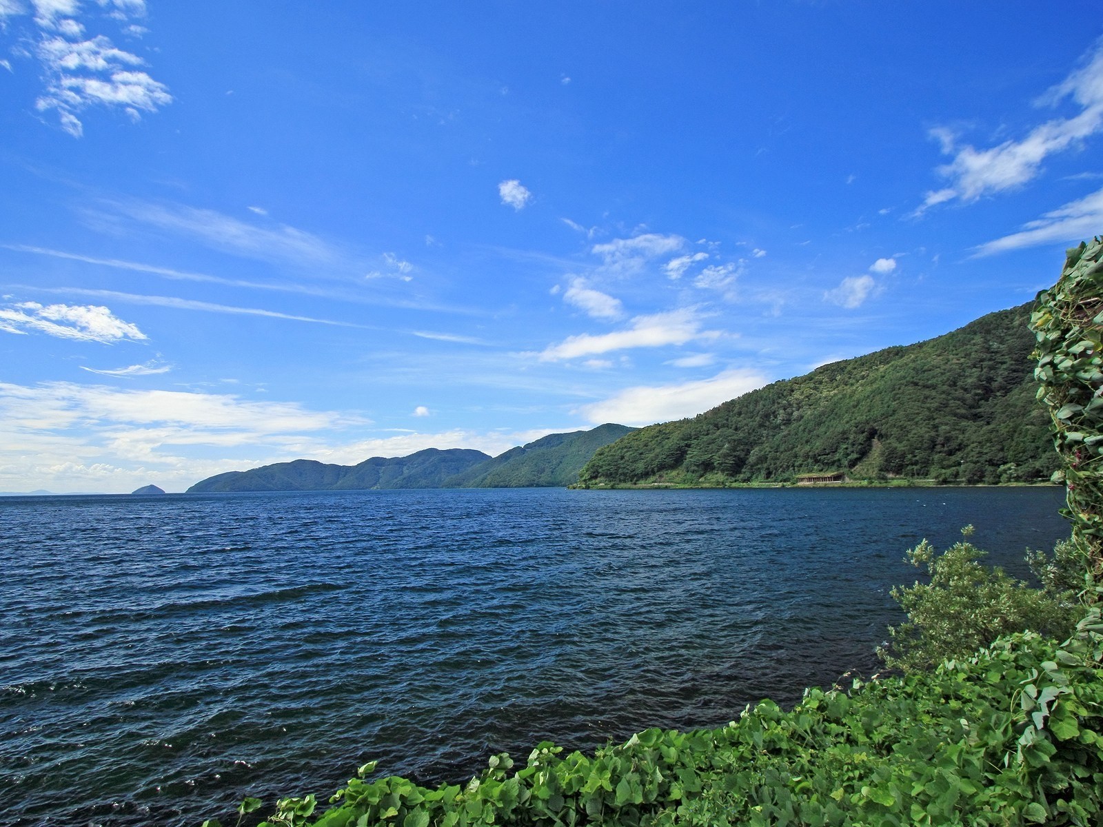 夏日北海道郊外風景 #1 - 1600x1200