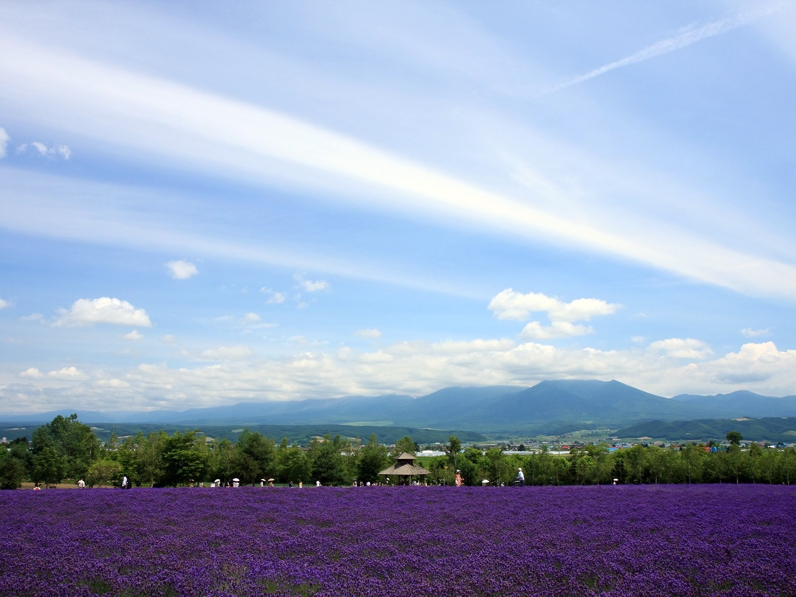 夏日北海道郊外風景 #3 - 1600x1200