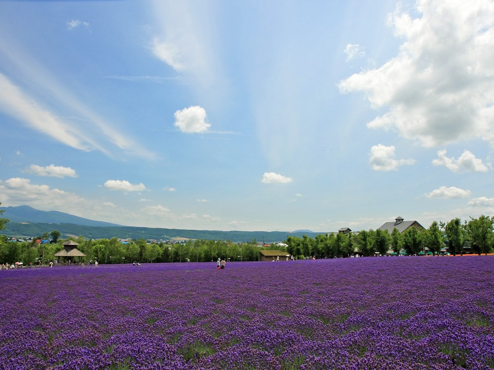 Hokkaido countryside scenery #4 - 1600x1200