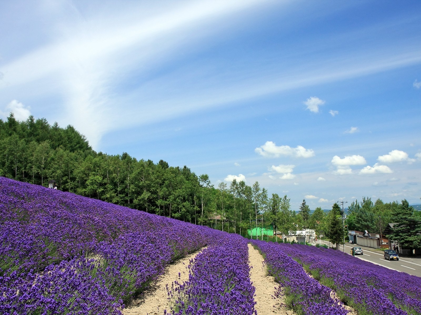 夏日北海道郊外風景 #5 - 1600x1200