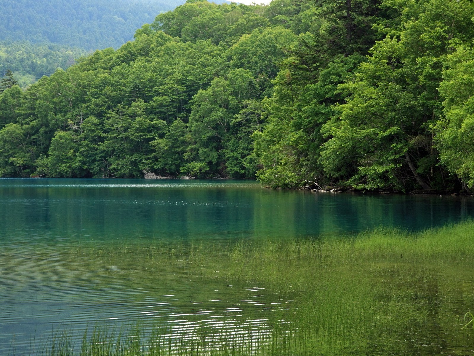 夏日北海道郊外風景 #8 - 1600x1200