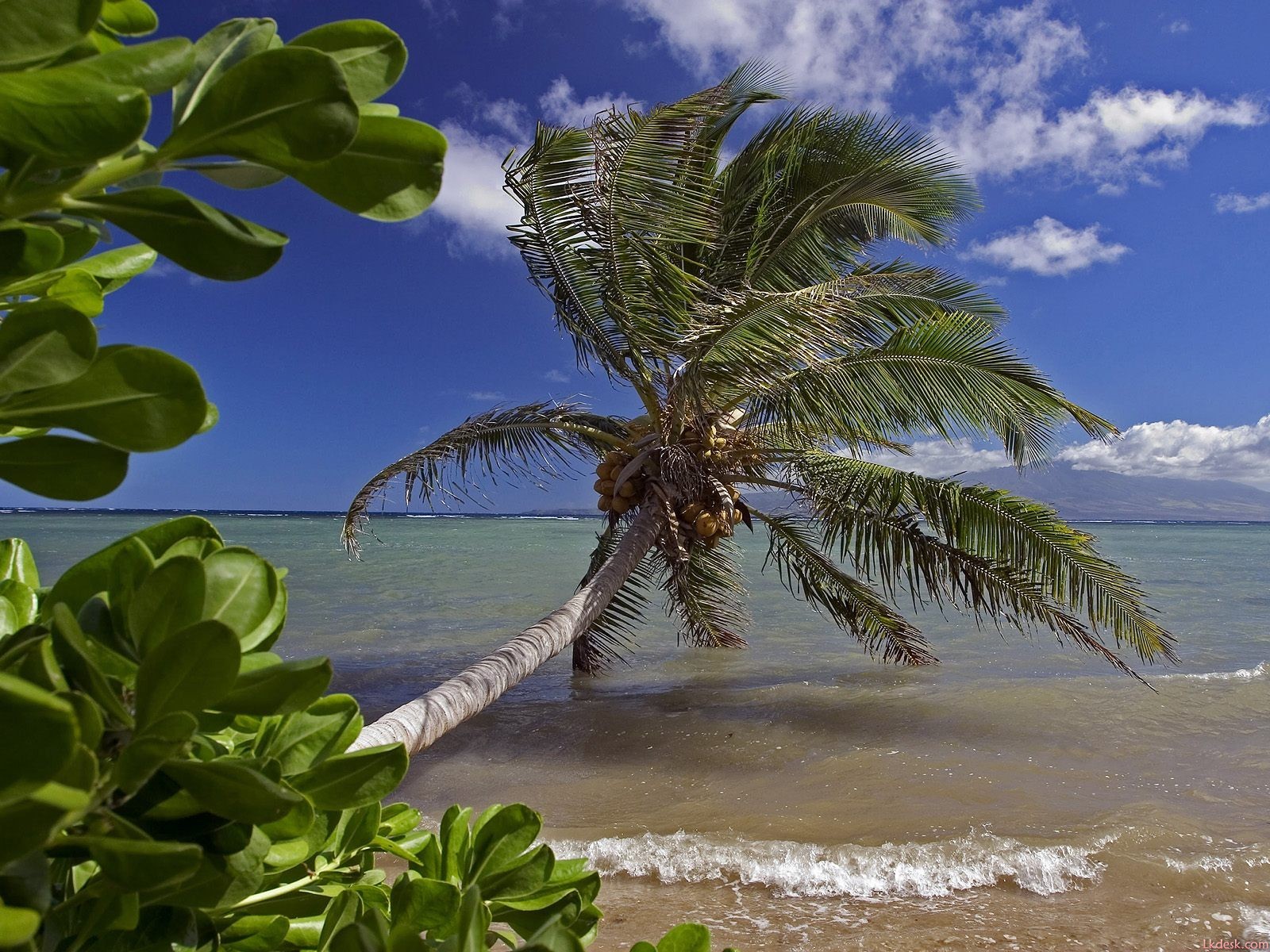 Hawaiianischer Strand Landschaft #13 - 1600x1200
