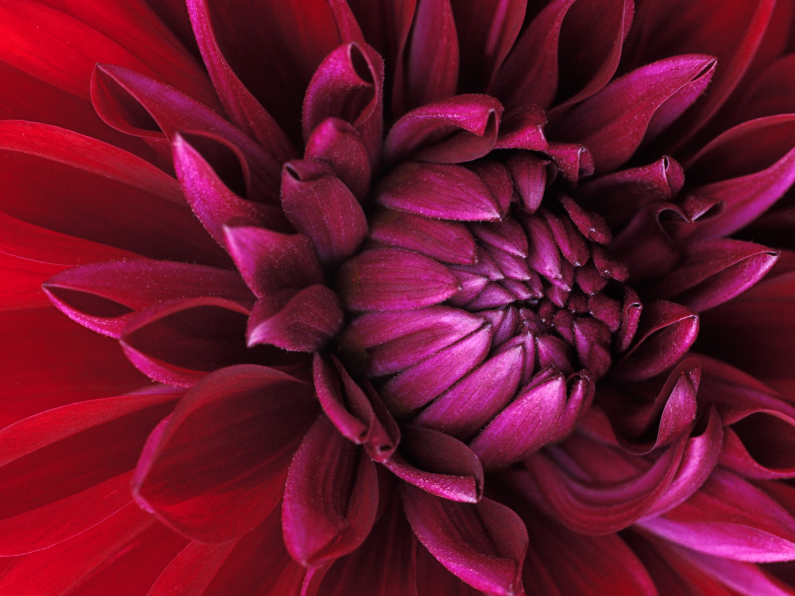 Windows7 系統自帶壁紙 #27 - 1600x1200