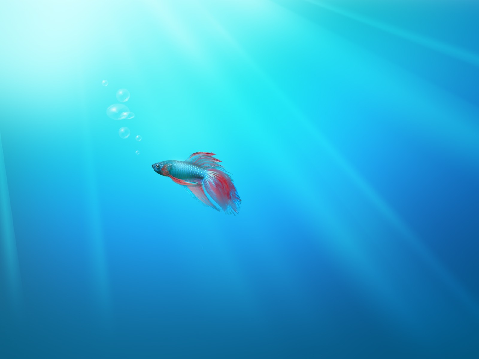 Windows7 system comes with wallpaper #28 - 1600x1200