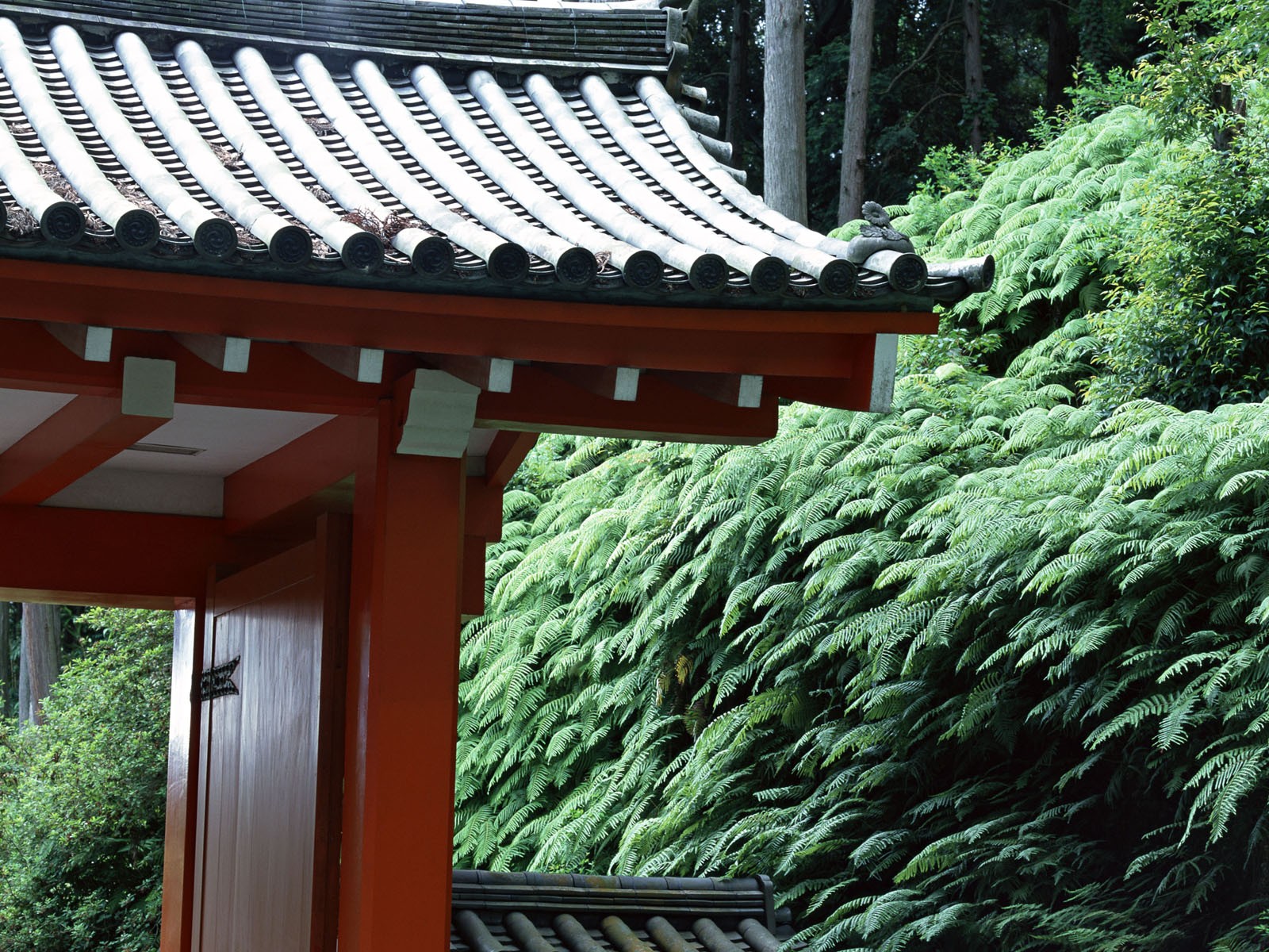 日本京都風景壁紙 #6 - 1600x1200