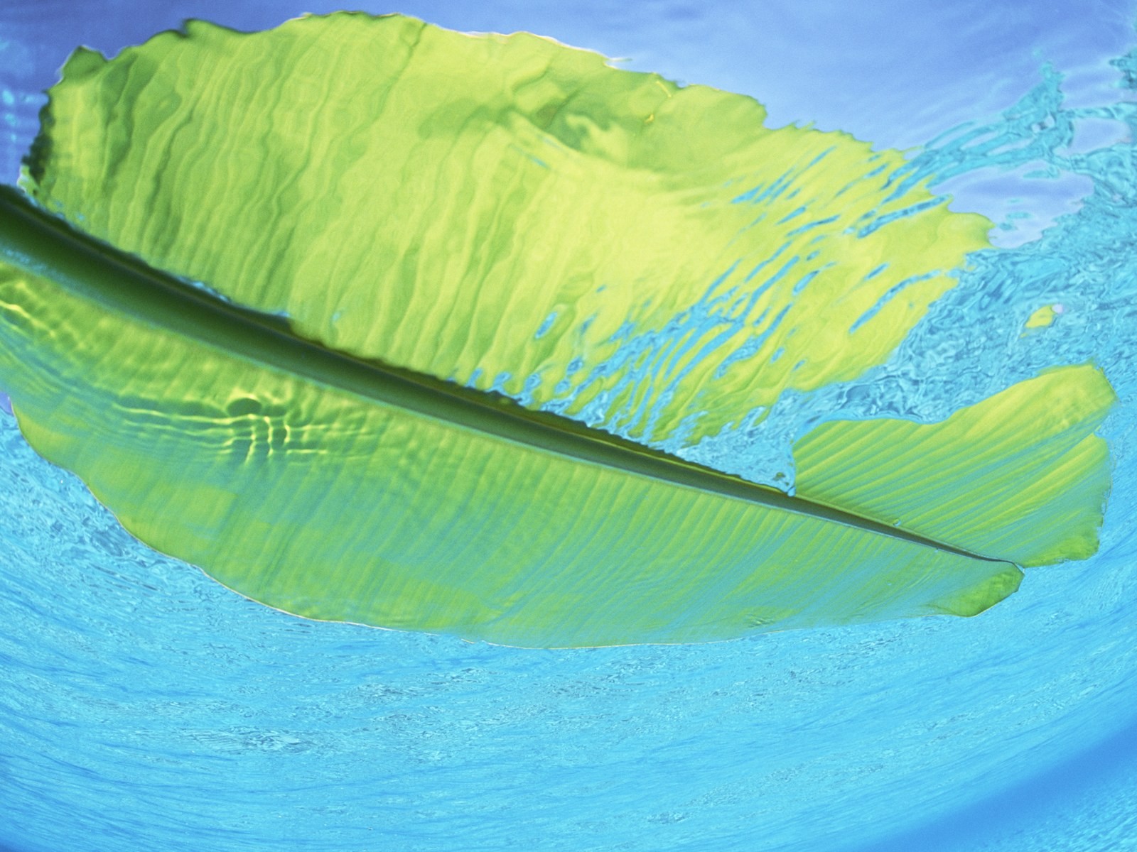 몰디브 물과 푸른 하늘 #27 - 1600x1200