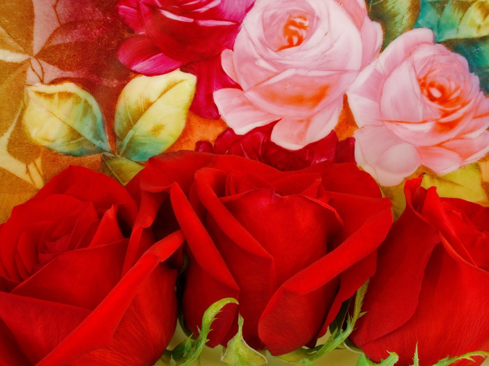 美麗鮮花桌面壁紙(二) #35 - 1600x1200