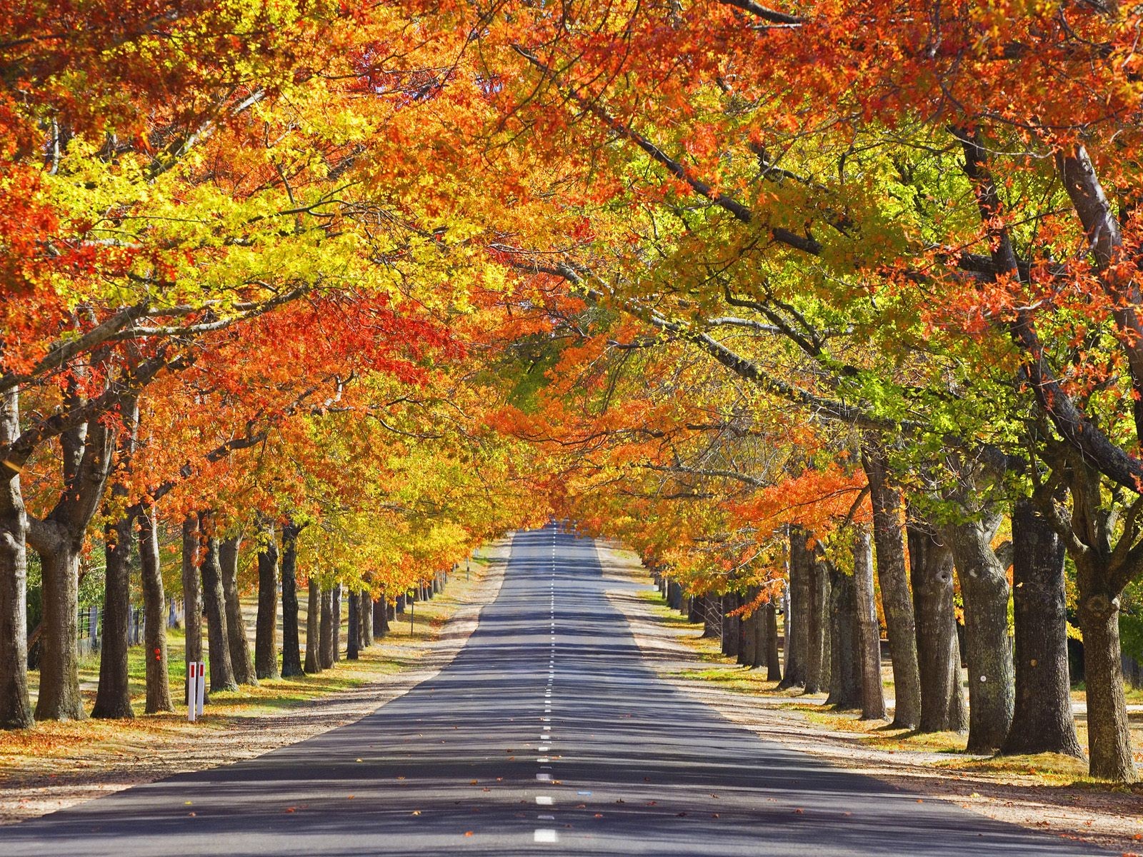 自然風光精選(八) #8 - 1600x1200