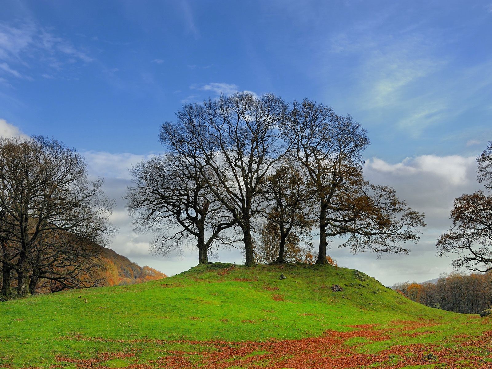 Dickes Herbstlandschaft Tapete #25 - 1600x1200