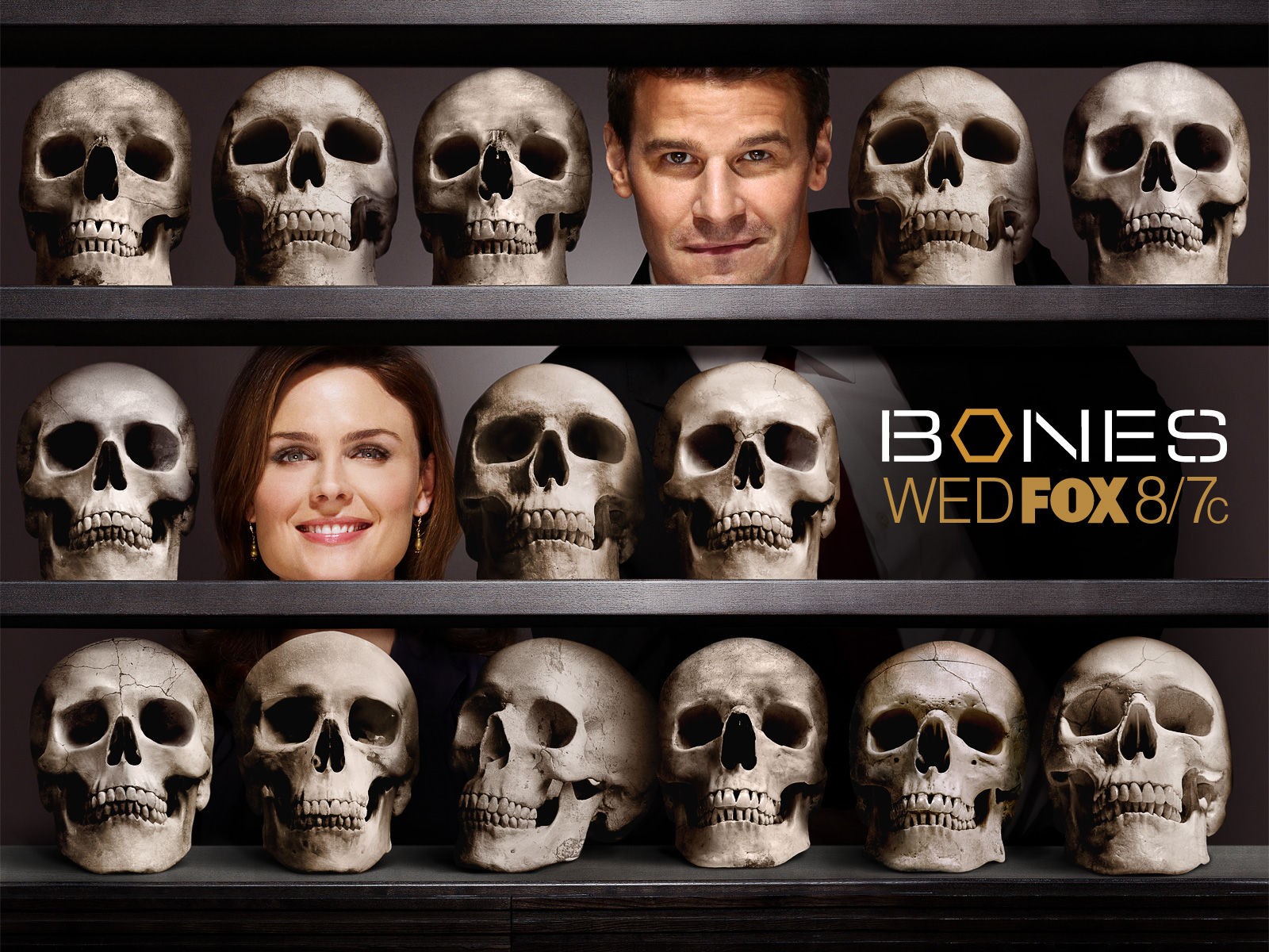 Bones 識骨尋踪 #5 - 1600x1200