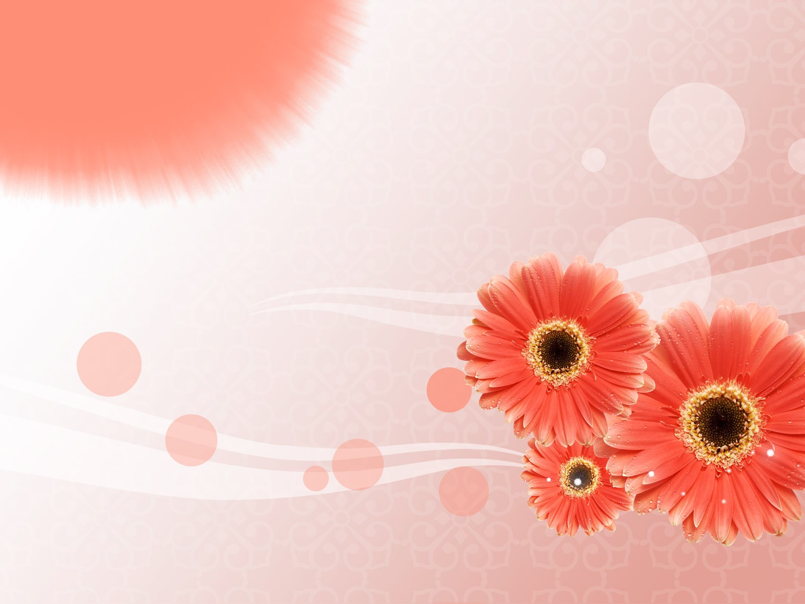 寬屏合成精品花卉 #5 - 1600x1200